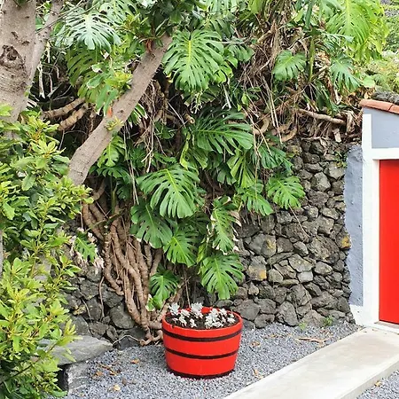 Casinha De Nesquim Calheta de Nesquim