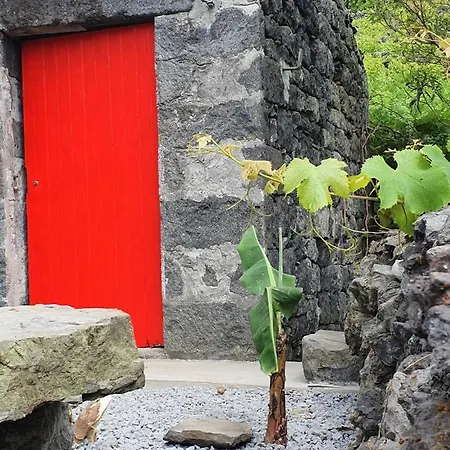 Casinha De Nesquim Hébergement de vacances Calheta de Nesquim