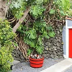 Casinha De Nesquim Calheta de Nesquim