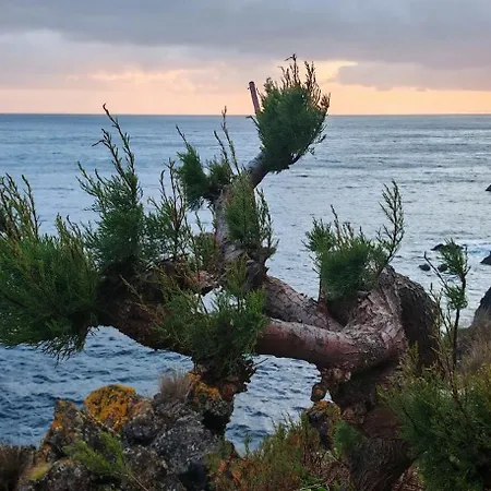 Casinha De Nesquim Calheta de Nesquim
