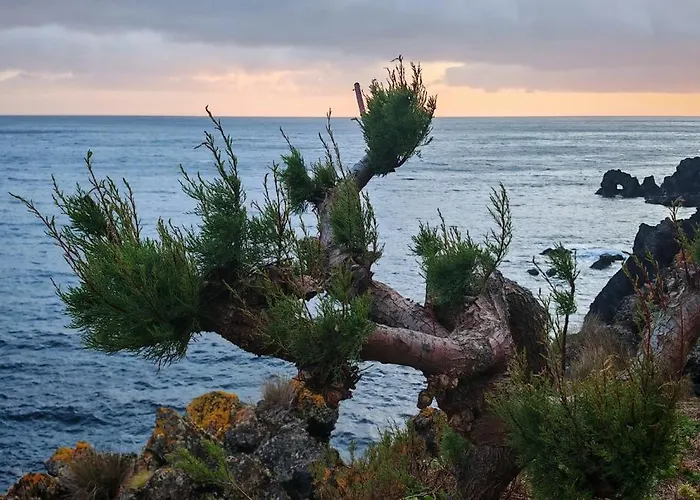 Casinha De Nesquim Calheta de Nesquim