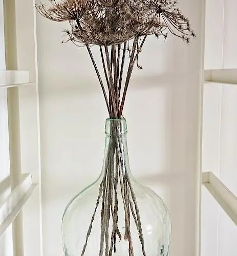 Ferienhaus Casinha De Nesquim