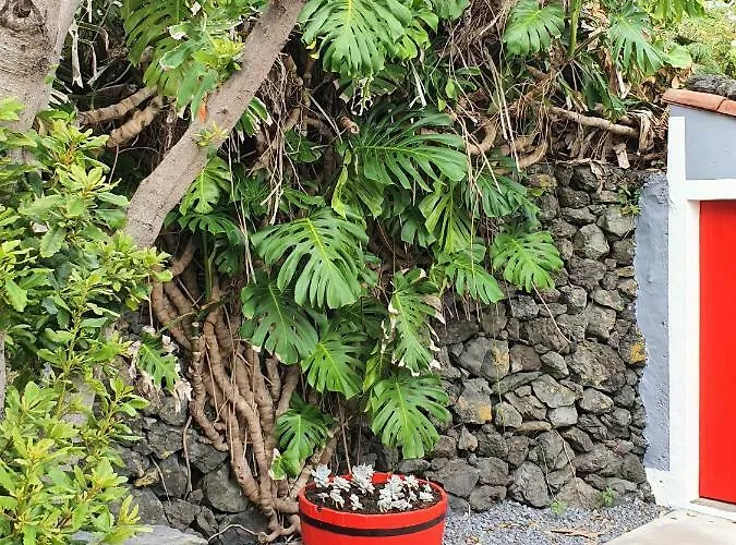 Casinha De Nesquim Calheta de Nesquim