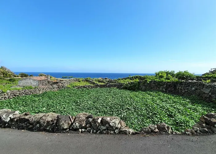 Vakantiehuis Casinha De Nesquim *