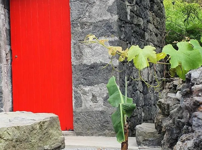 Casinha De Nesquim Holiday home Calheta de Nesquim